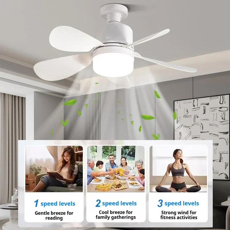 16 Inch 2-in-1 Ceiling Fan wit - Home Bathroom Fan のレビューと価格