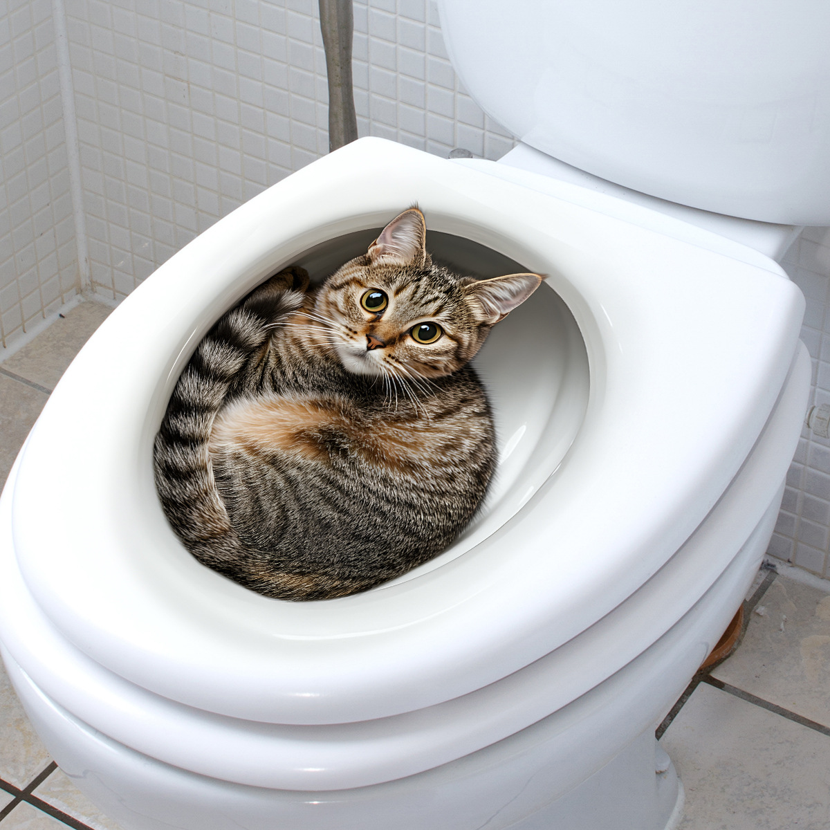 3D Funny Cat Toilet Sticker Ba - Tiny Home Bathroom Kit のレビューと価格